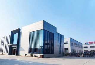 成人阳光益生菌作用是什么