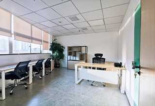 上海全自动纸碟机批发