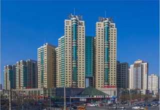 天津生物油立式猛火灶多少钱