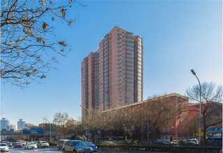 西藏肩周炎光子理疗贴公司